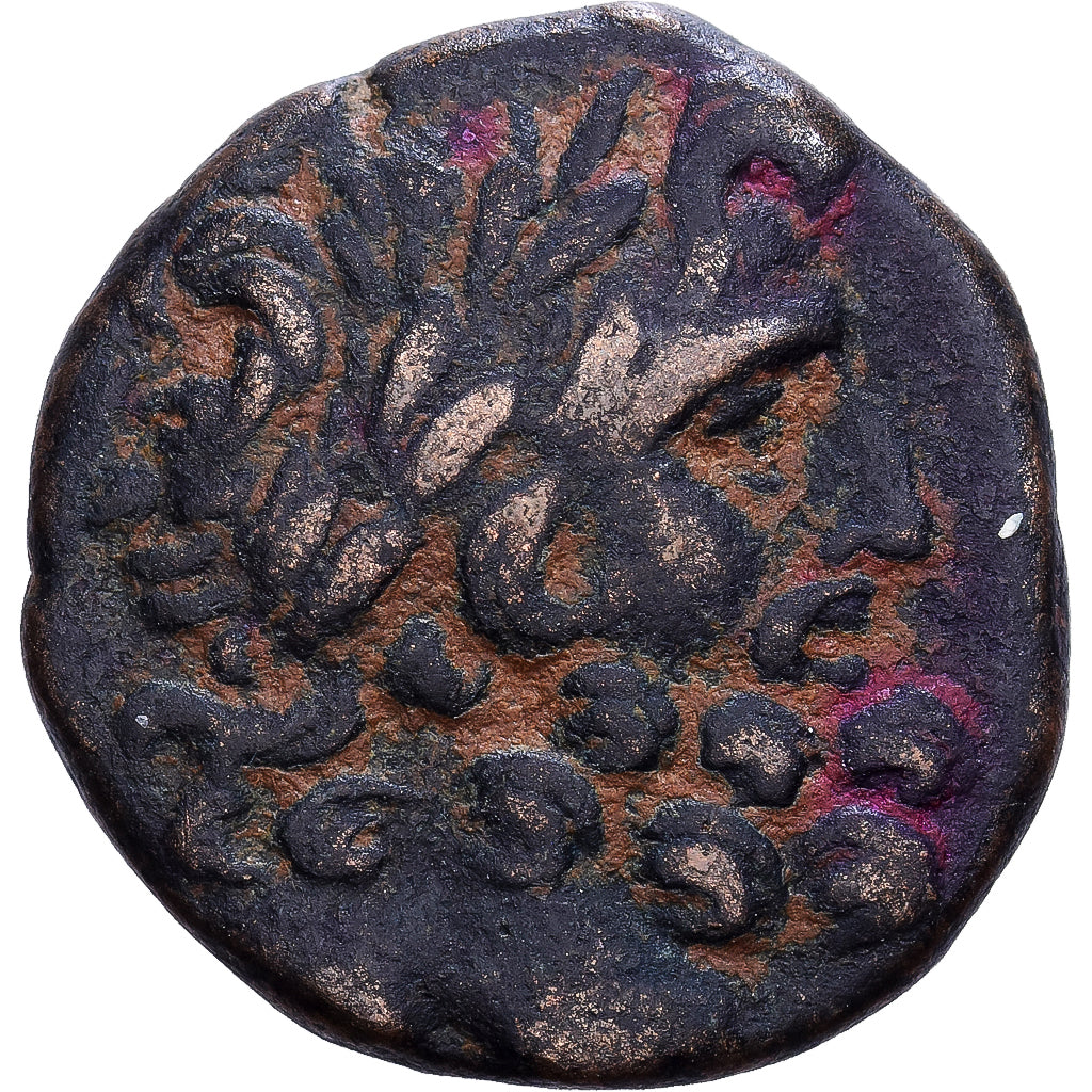 Seleucis and Pieria, Augustus, Æ Unit, 13-14, Antioch, Bronze, VF(20-25)