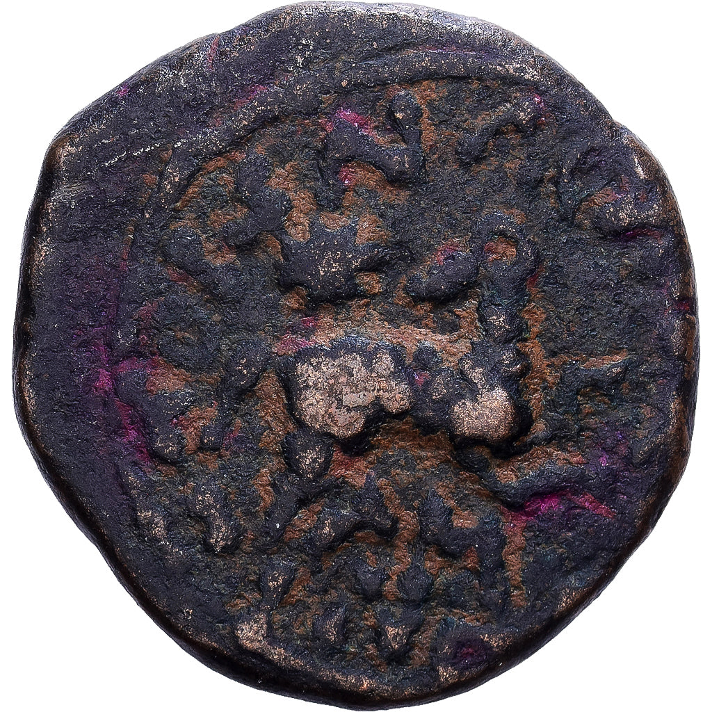 Seleucis and Pieria, Augustus, Æ Unit, 13-14, Antioch, Bronze, VF(20-25)