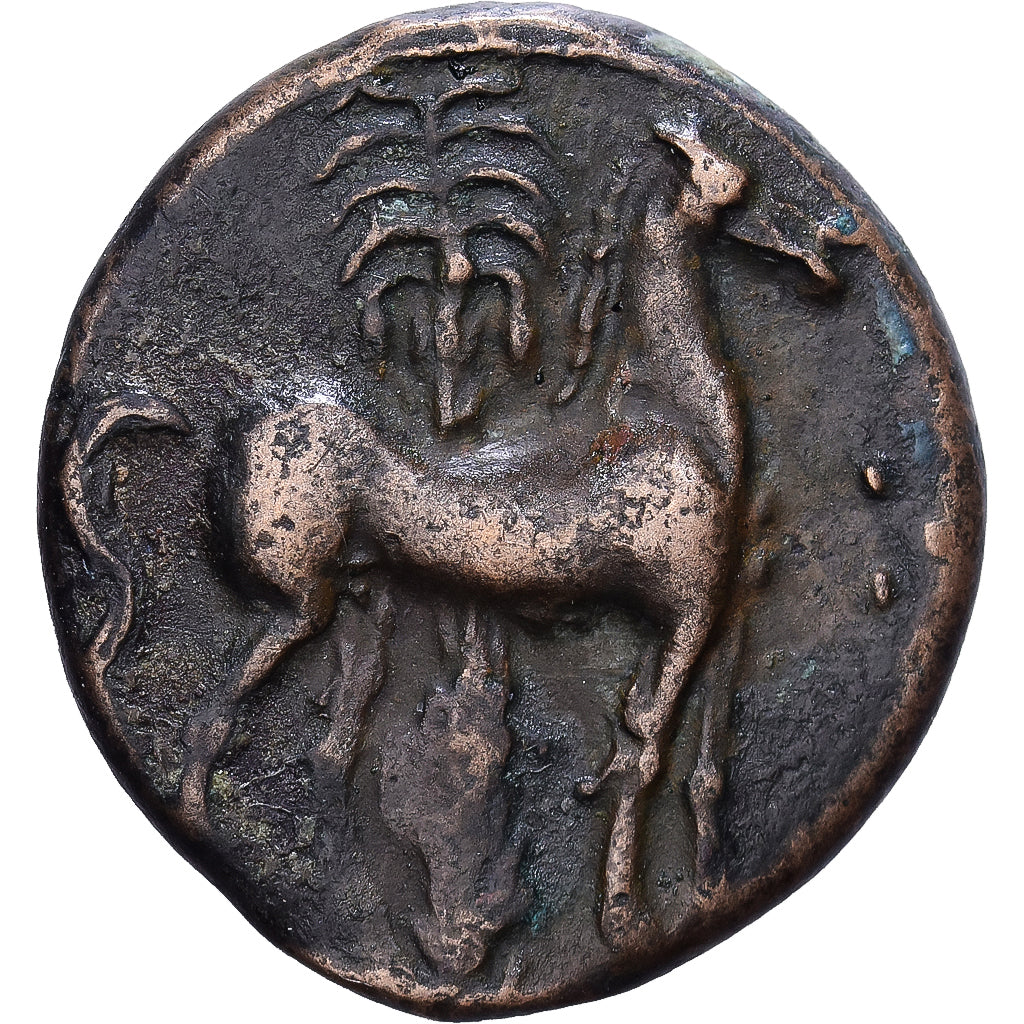 Zeugitana, Æ Unit, 400-350 BC, Carthage, Bronce, BC+