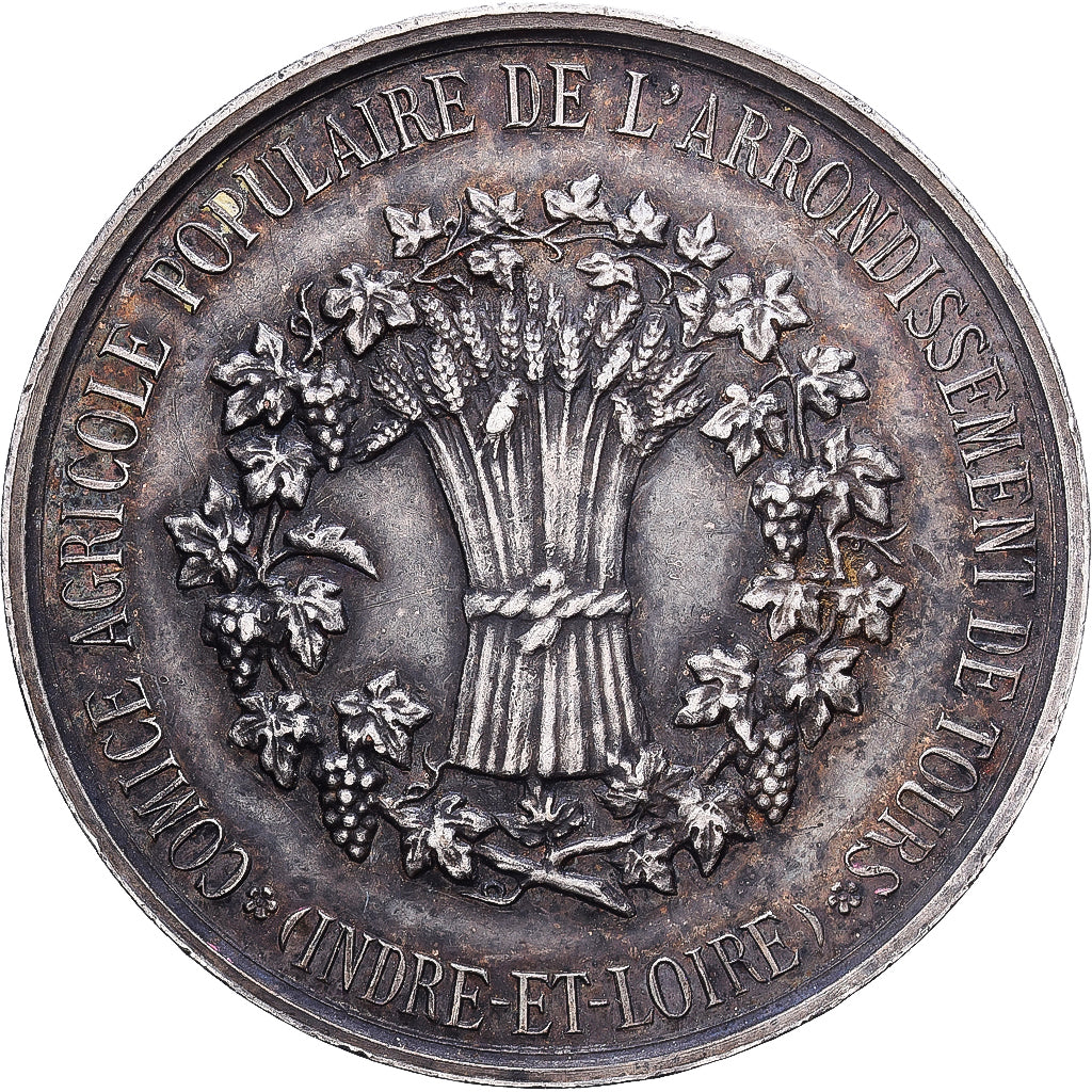 Francja, medal, Comice Agricole de Tours, Srebro, AU(50-53)