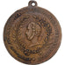 France, Médaille, Mort de Ferdinand Philippe, Duc d'Orléans, 1842, Cuivre, SUP