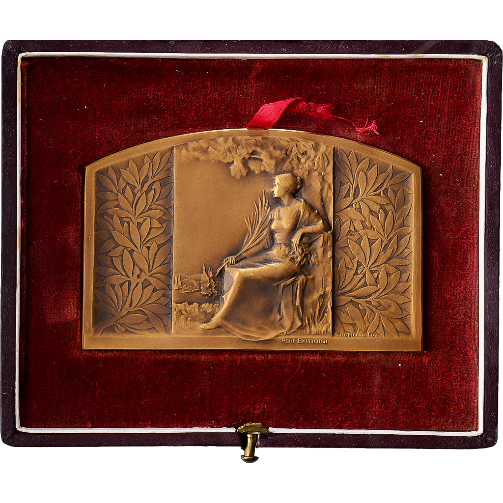 France, Medal, Offert par Pierre Bordes, Bronze, Baudichon, AU(55-58)