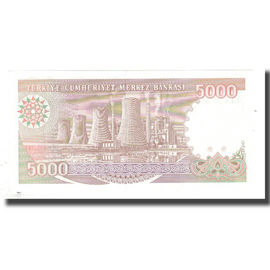 Banconote, Turchia, 5000 Lira, 1970, 1970-01-14, KM:198, FDS
