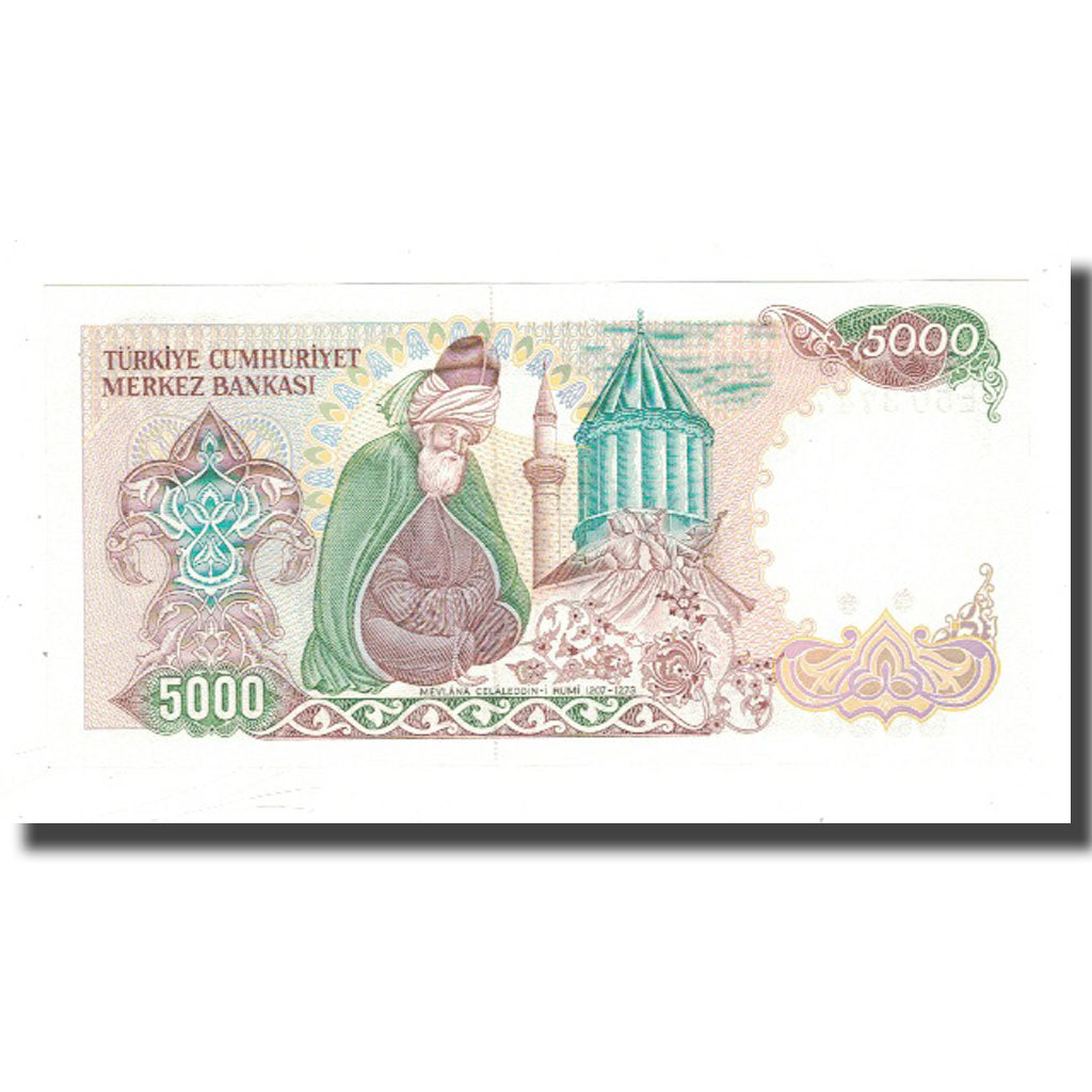 Banknote, Turkey, 5000 Lira, 1970, 1970-01-14, KM:197, UNC(65-70)