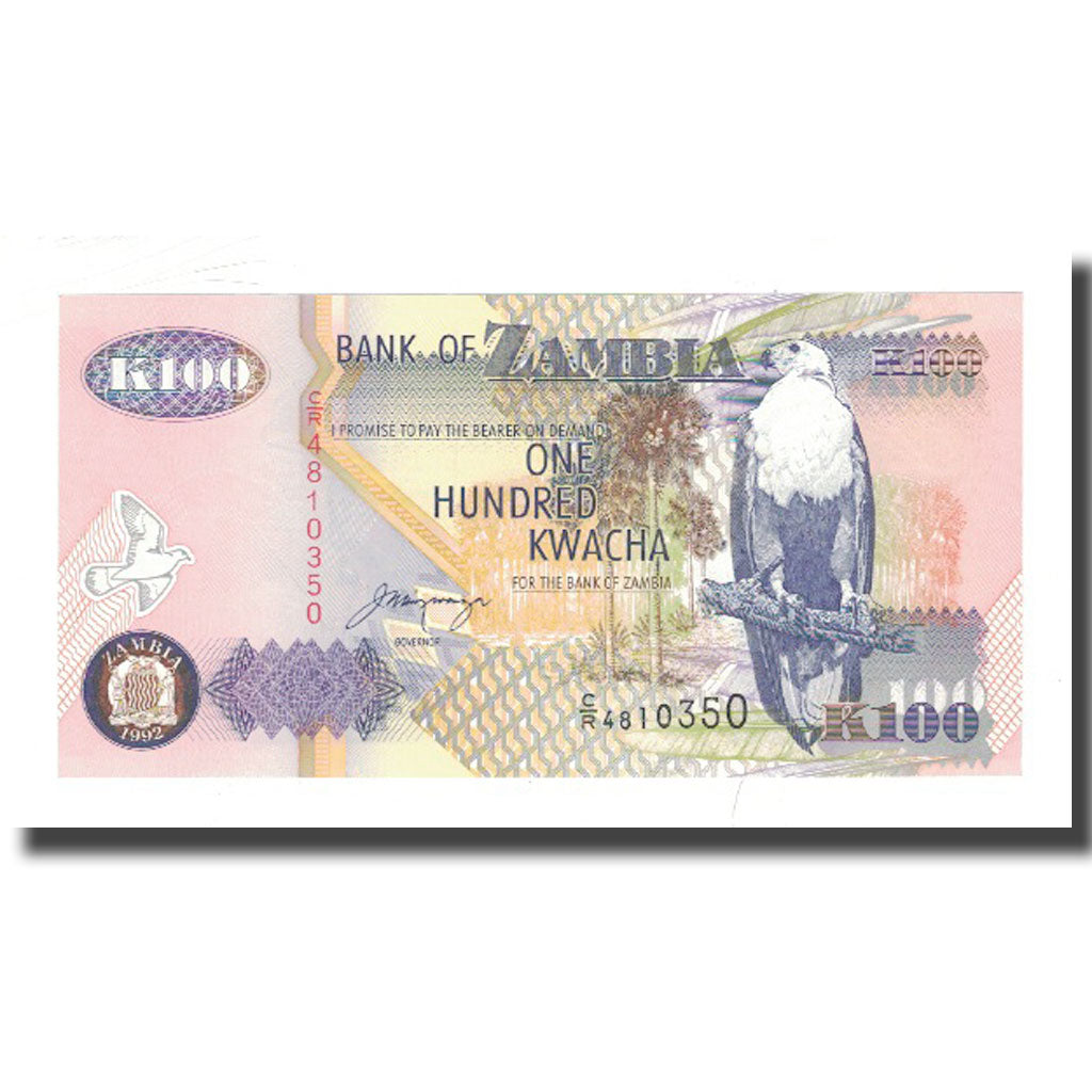 Banknote, Zambia, 100 Kwacha, KM:38b, UNC(65-70)