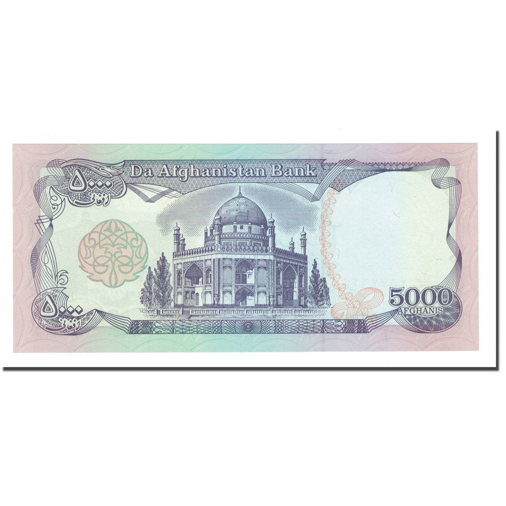 Banknote, Afghanistan, 5000 Afghanis, SH1372 (1993), KM:62, UNC(63)