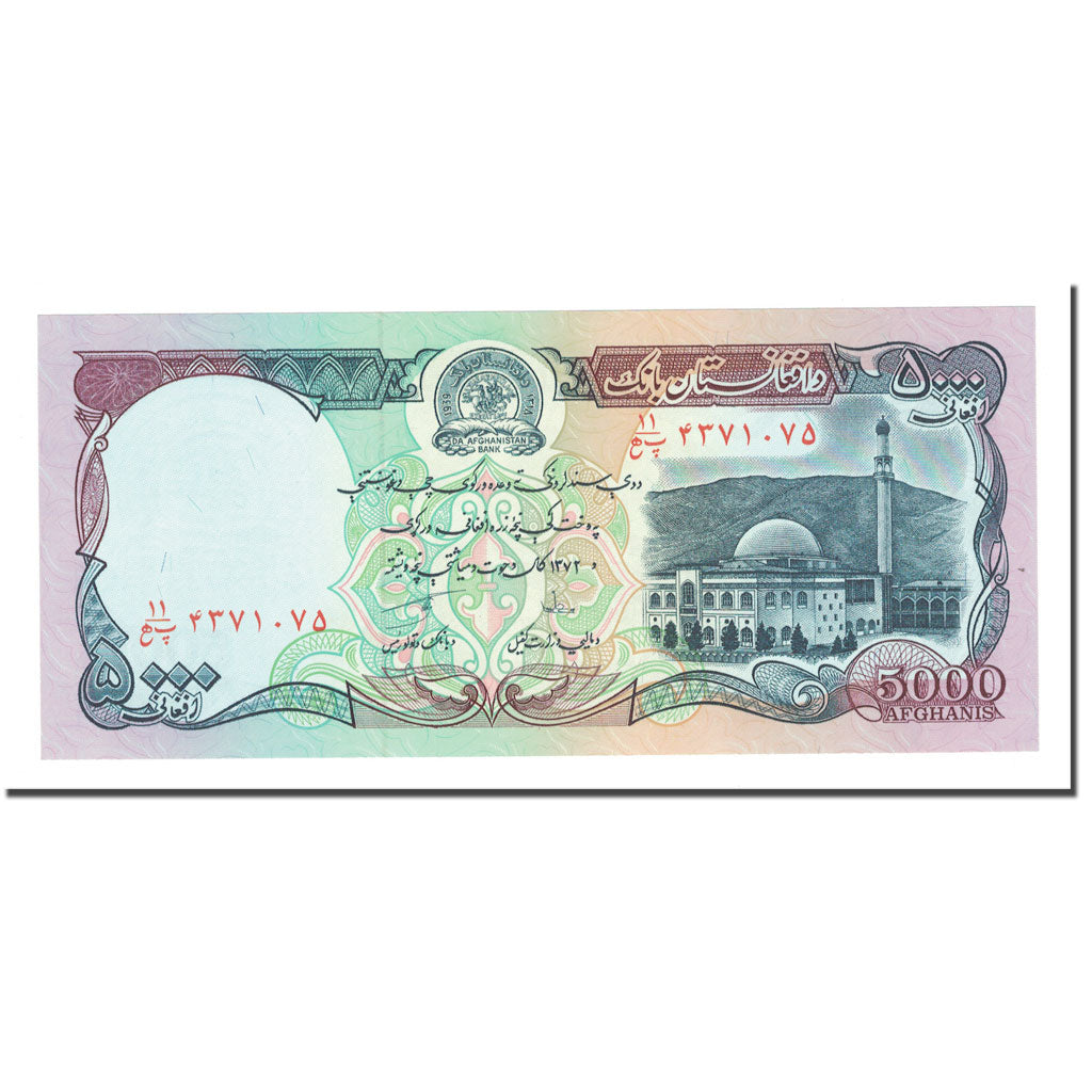 Banknote, Afghanistan, 5000 Afghanis, SH1372 (1993), KM:62, UNC(65-70)