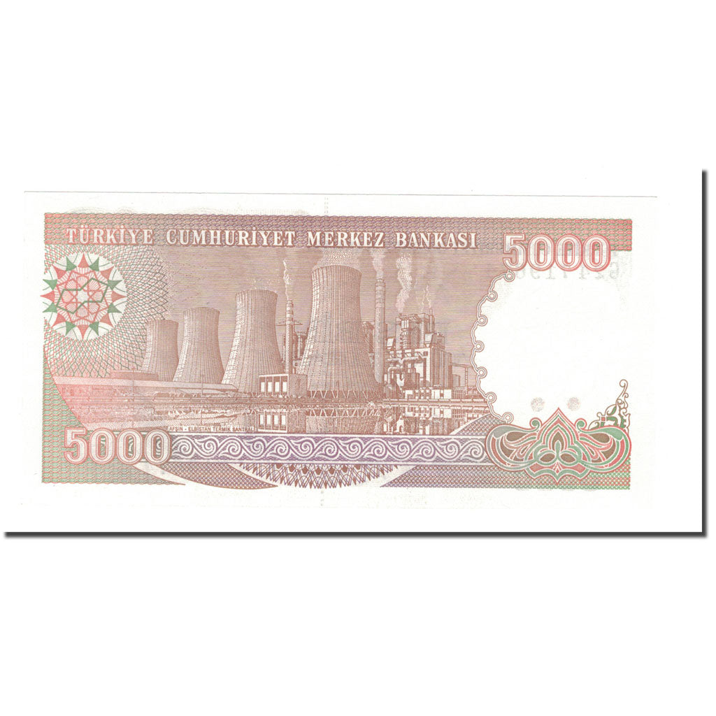 Banknote, Turkey, 5000 Lira, 1970, 1970-01-14, KM:198, UNC(65-70)