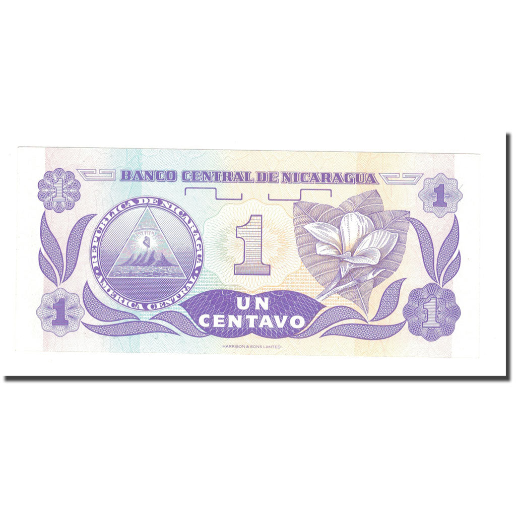 Banknote, Nicaragua, 1 Centavo, Undated (1991), KM:167, UNC(63)