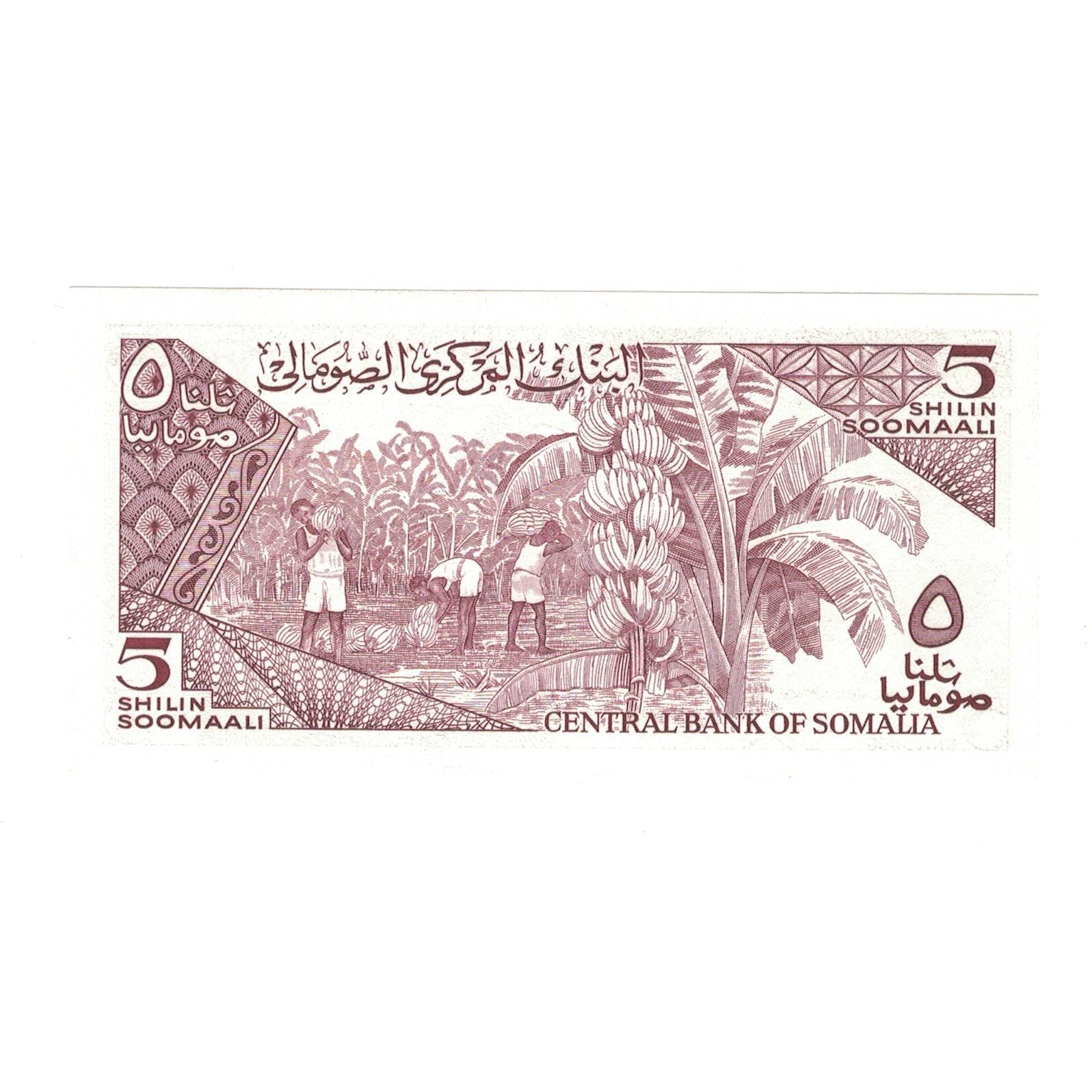 Banconote, Somalia, 5 Shilin = 5 Shillings, 1987, KM:31c, FDS