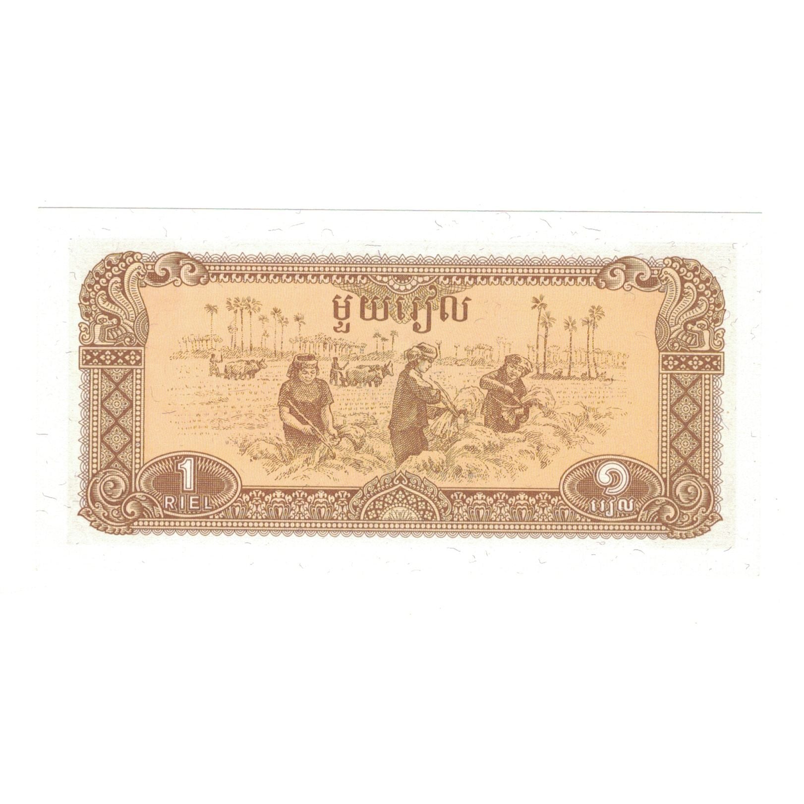 Banknote, Cambodia, 1 Riel, Undated (1979), KM:28a, UNC(65-70)