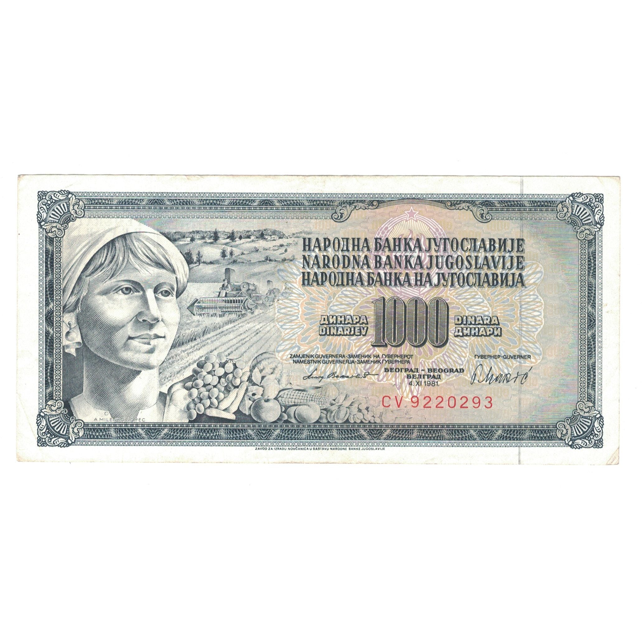 Banknote, Yugoslavia, 100 Dinara, 1981, 1981-11-04, KM:90b, AU(50-53)