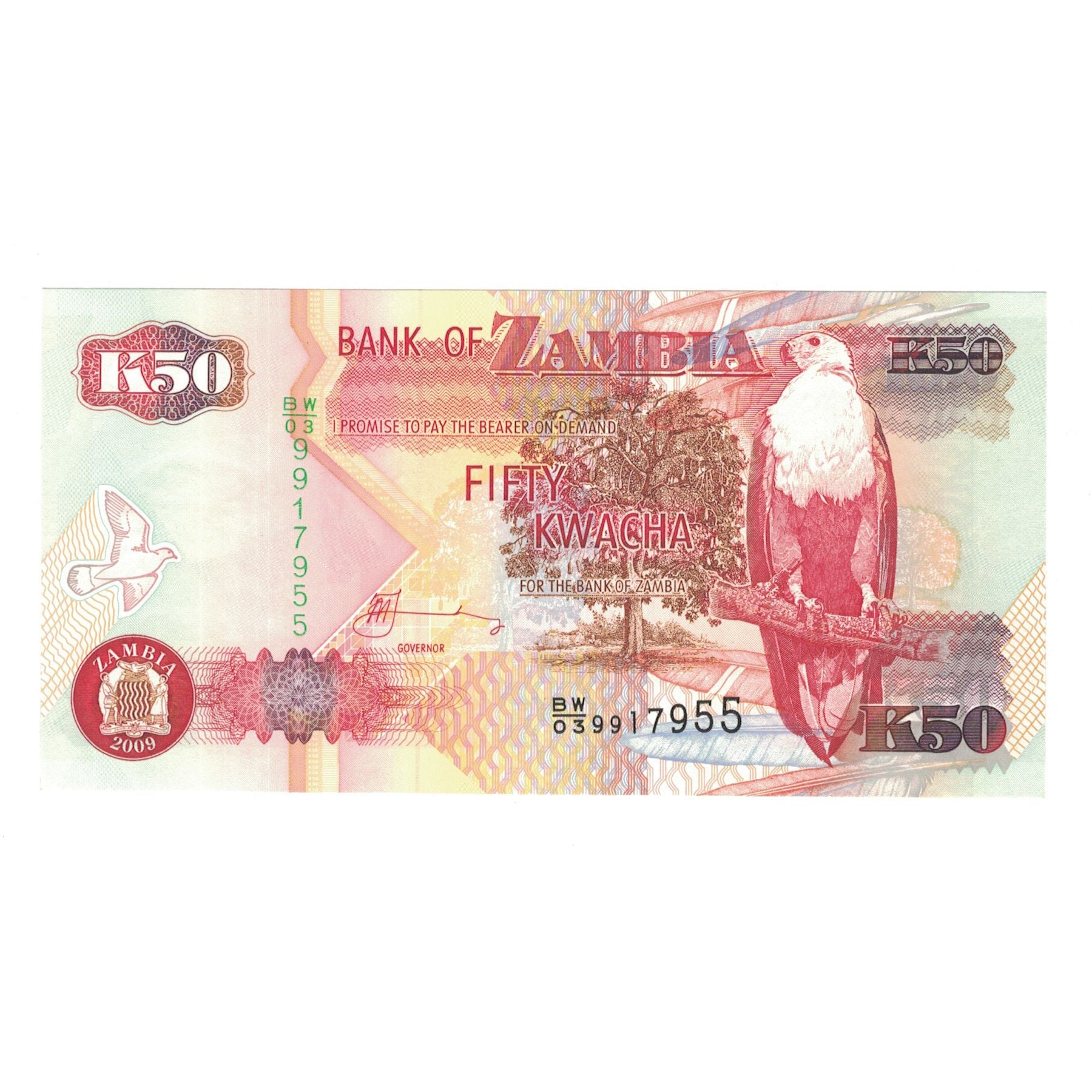 Banknote, Zambia, 50 Kwacha, 2009, KM:37h, UNC(65-70)