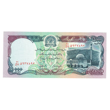 Banknote, Afghanistan, 5000 Afghanis, SH1372 (1993), KM:62, UNC(65-70)