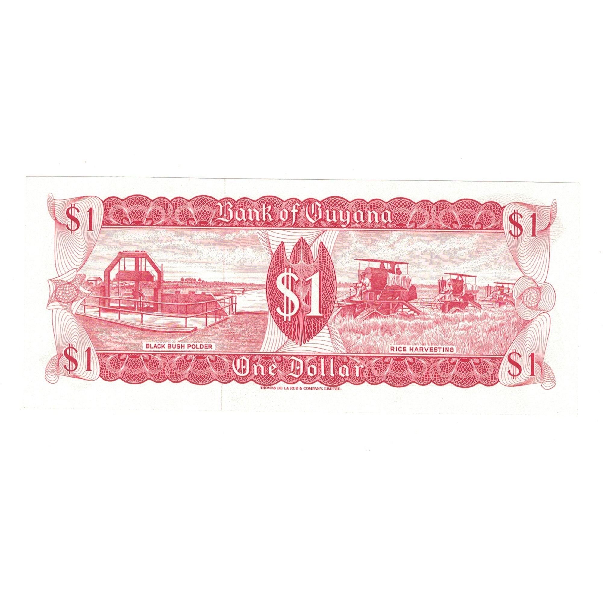 Banknote, Guyana, 1 Dollar, KM:21e, UNC(65-70)