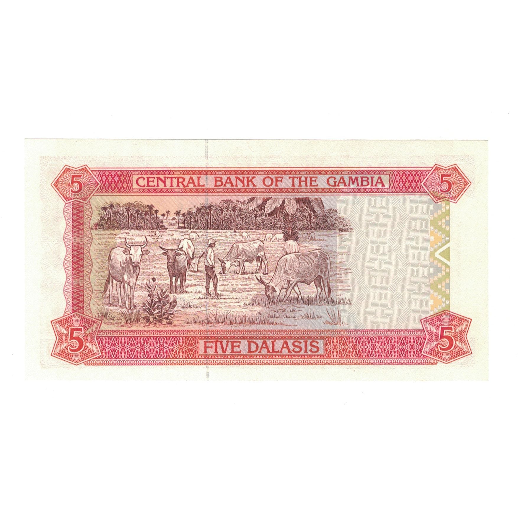 Banconote, Gambia, 5 Dalasis, KM:20a, FDS