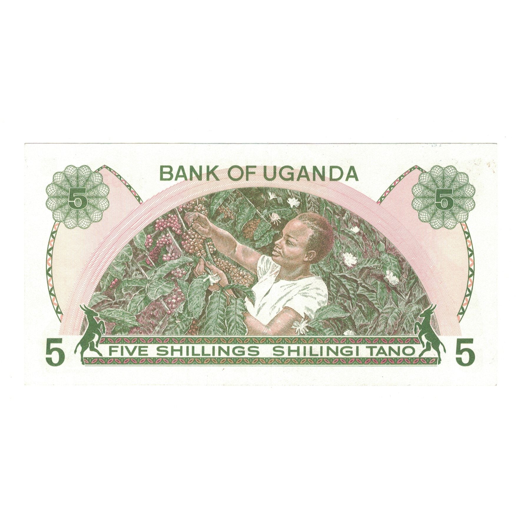 Banknote, Uganda, 5 Shillings, 1982, KM:15, UNC(63)