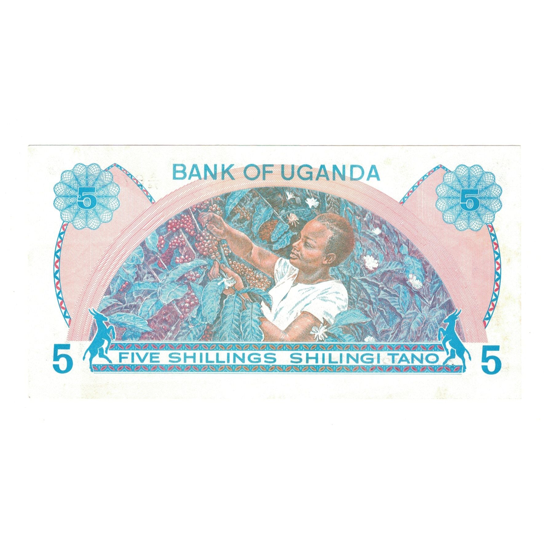 Banknot, Uganda, 5 Shillings, Undated (1979), KM:10, UNC(63)