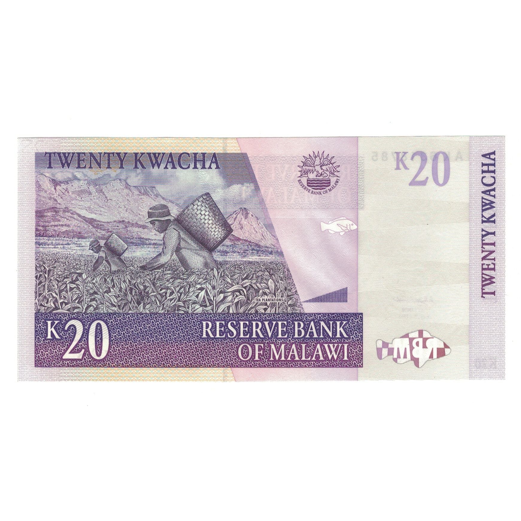 Banknote, Malawi, 20 Kwacha, 2004, 2004-06-01, KM:52a, AU(50-53)