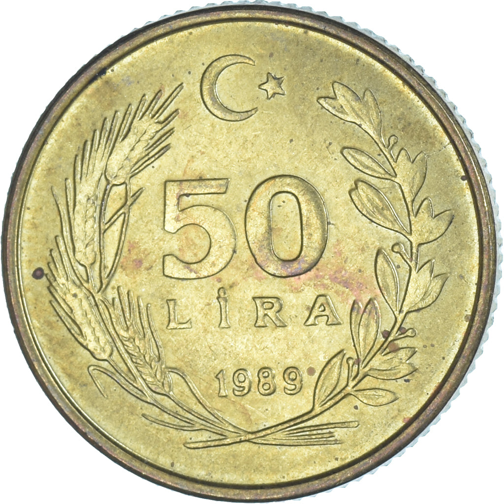 Moneda, Turquía, 50 Lira, 1989