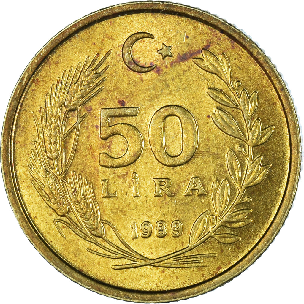 Coin, Turkey, 50 Lira, 1989