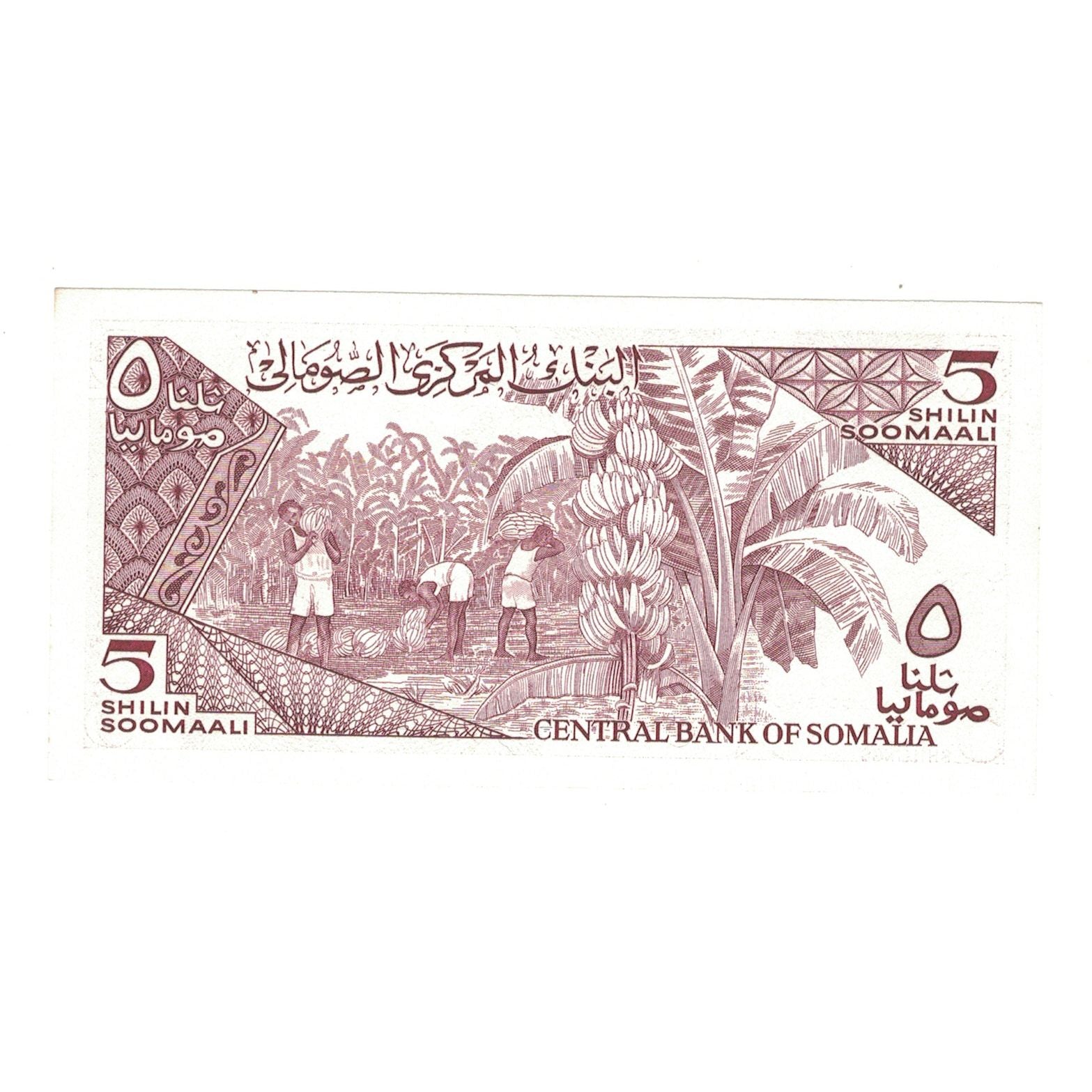 Billet, Somalie, 5 Shilin = 5 Shillings, 1987, KM:31c, SPL