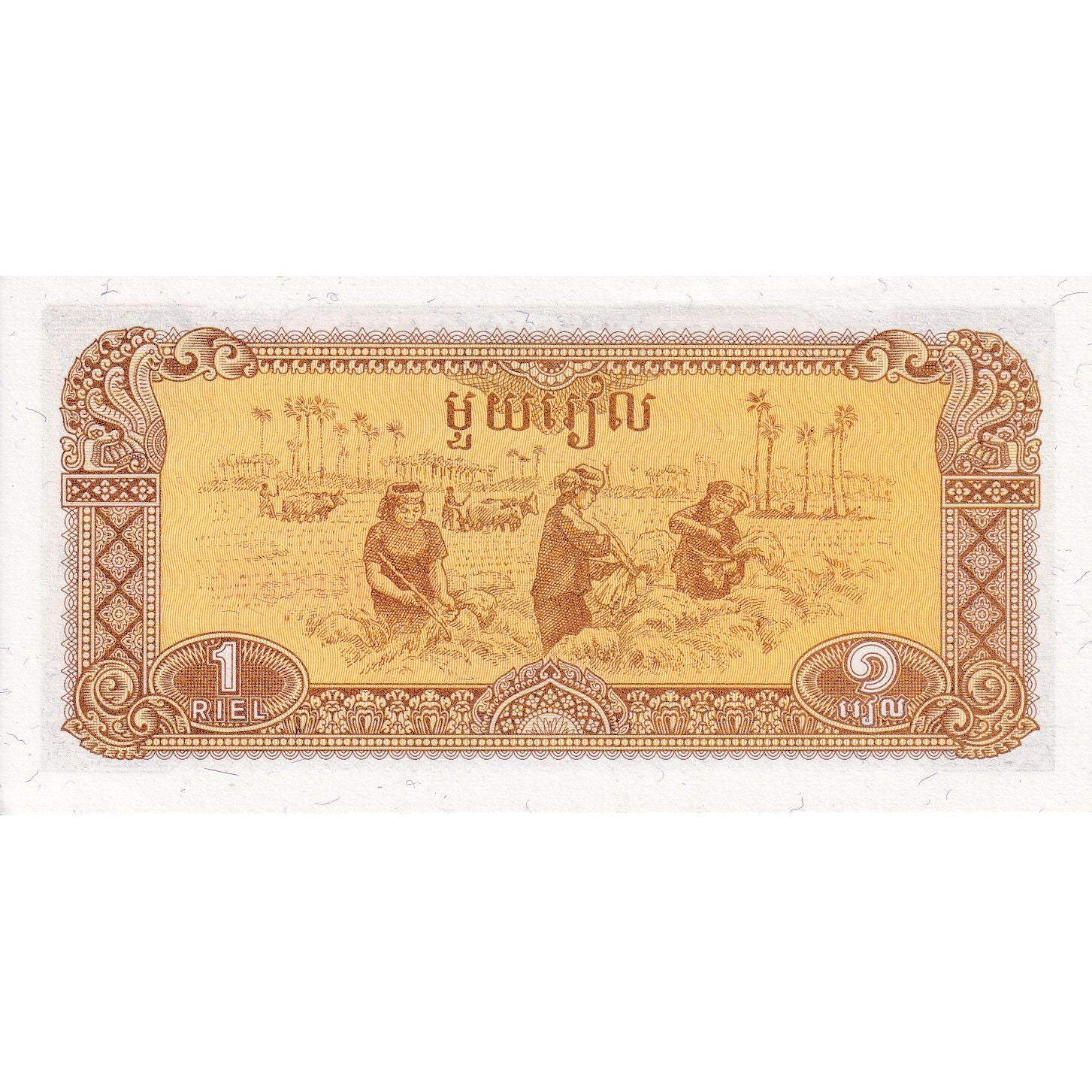 Cambodia, 1 Riel, 1979, KM:28a, UNC(65-70)