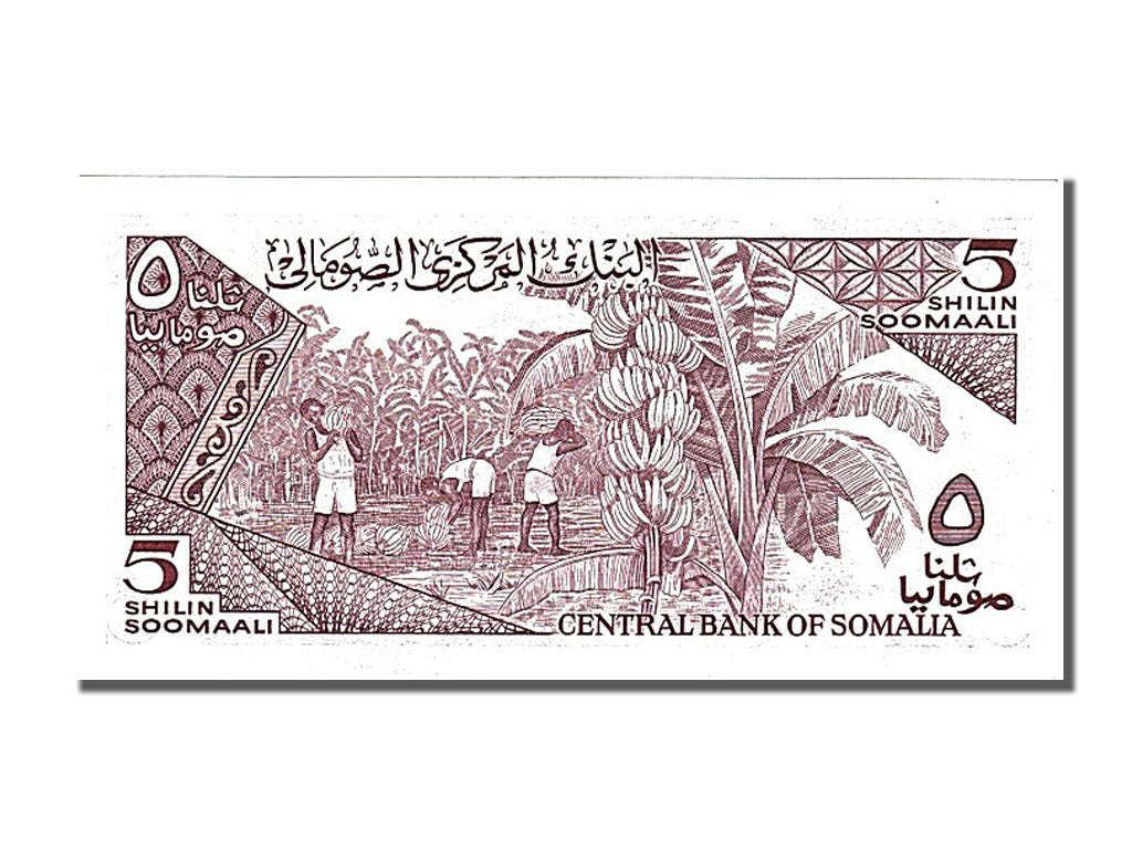 Billet, Somalie, 5 Shilin = 5 Shillings, 1987, NEUF