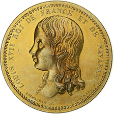Frankrijk, Medaille, Roi de France, Louis XVII, Copper-nickel Aluminium