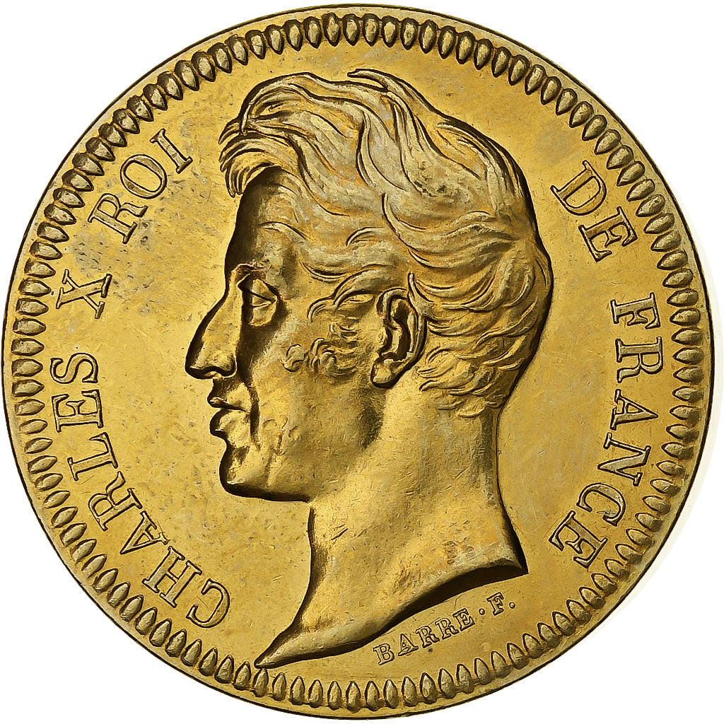 Francia, medaglia, Roi de France, Charles X, Rame-nichel-alluminio, Piéfort