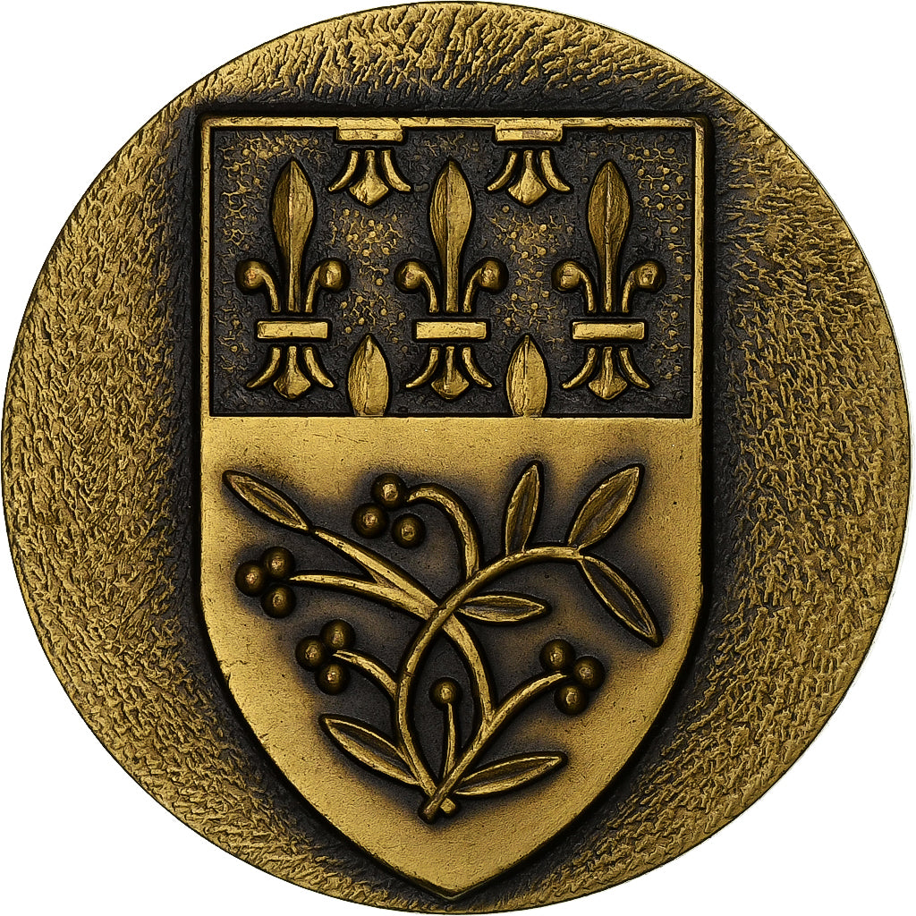 França, medalha, Ville de Reims, Bronze, AU(55-58)