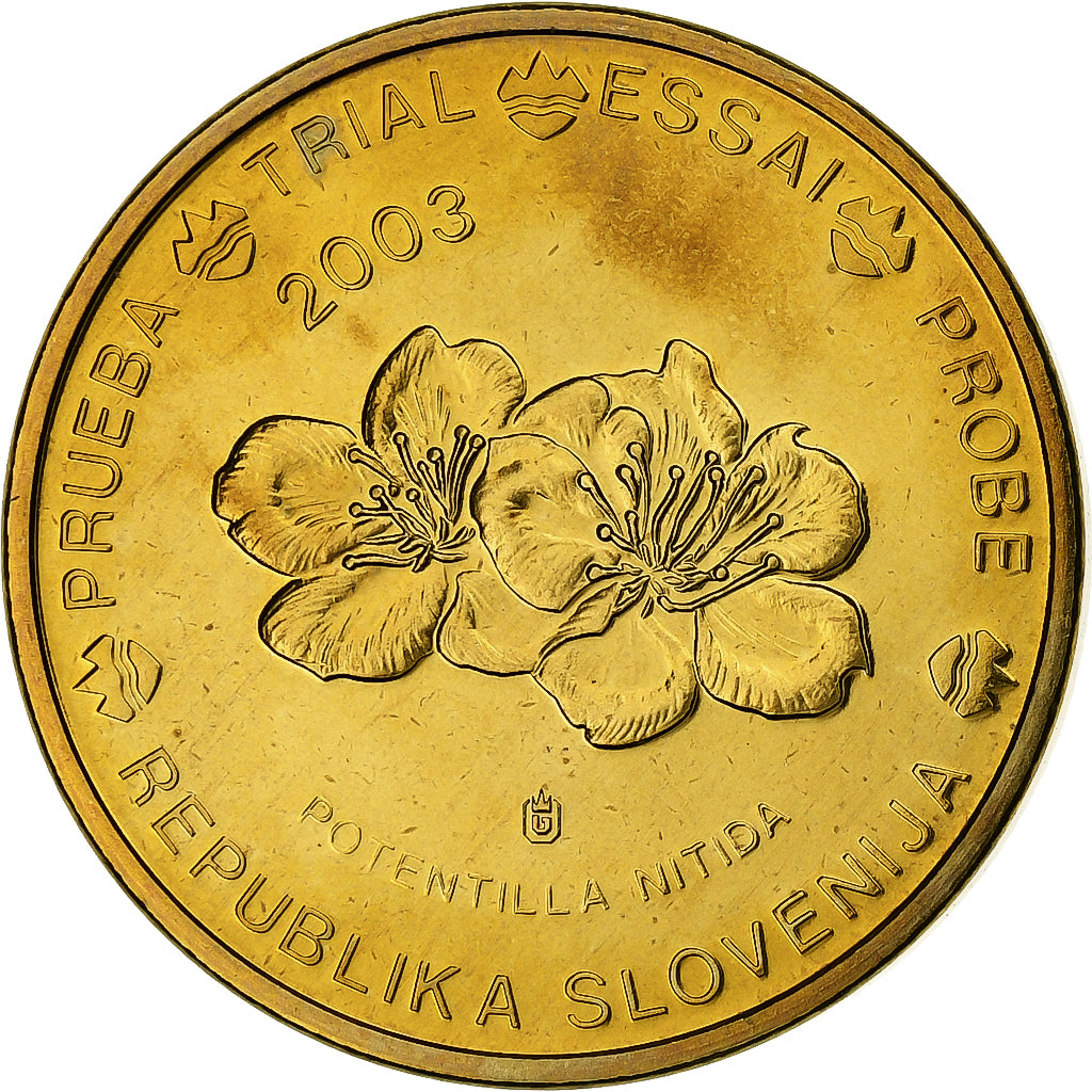 Slovénie, 20 Euro Cent, unofficial private coin, 2003, Cuivre plaqué acier