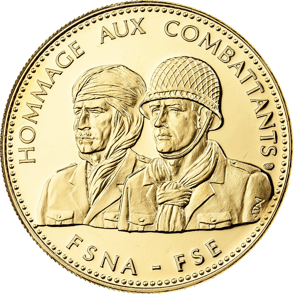 France, Medal, Guerre d'Algérie, Hommage aux Combattants, FSNA-FSE
