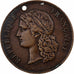 Francia, ficha, Exposition universelle de Paris, 1889, Bronzo, Barre, BB