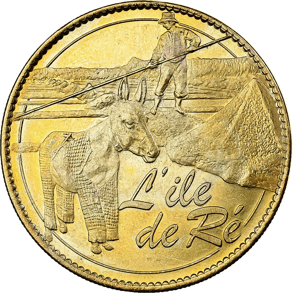 Francia, ficha, Ile de Ré, 2008, Rame-nichel-alluminio, BB