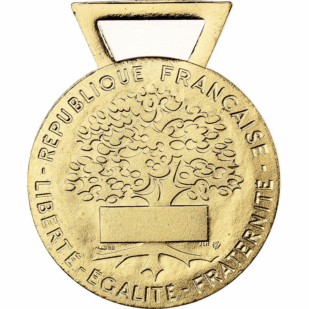 France, Médaille d'honneur communale, régionale et départementale, Medal