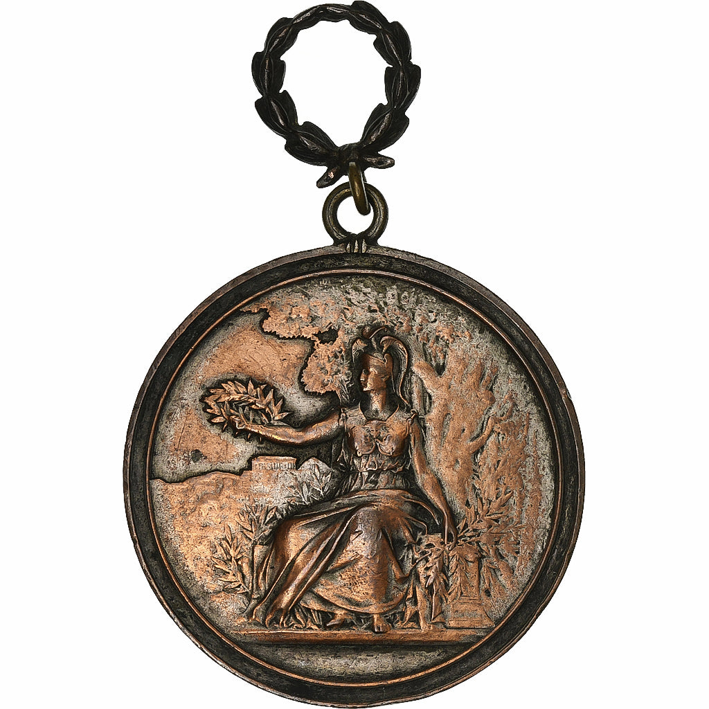 France, Medal, Société d'Encouragement à l'Instruction, Seine et Oise, 1893