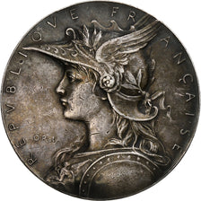 France, Medal, Préfecture de Police, Commissions d'Hygiène Publique, Silver
