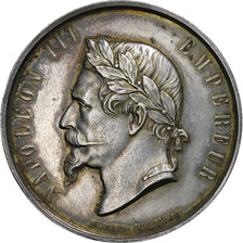 France, Medal, Napoléon III, Société d'Agriculture de Saint-Pol, Silver