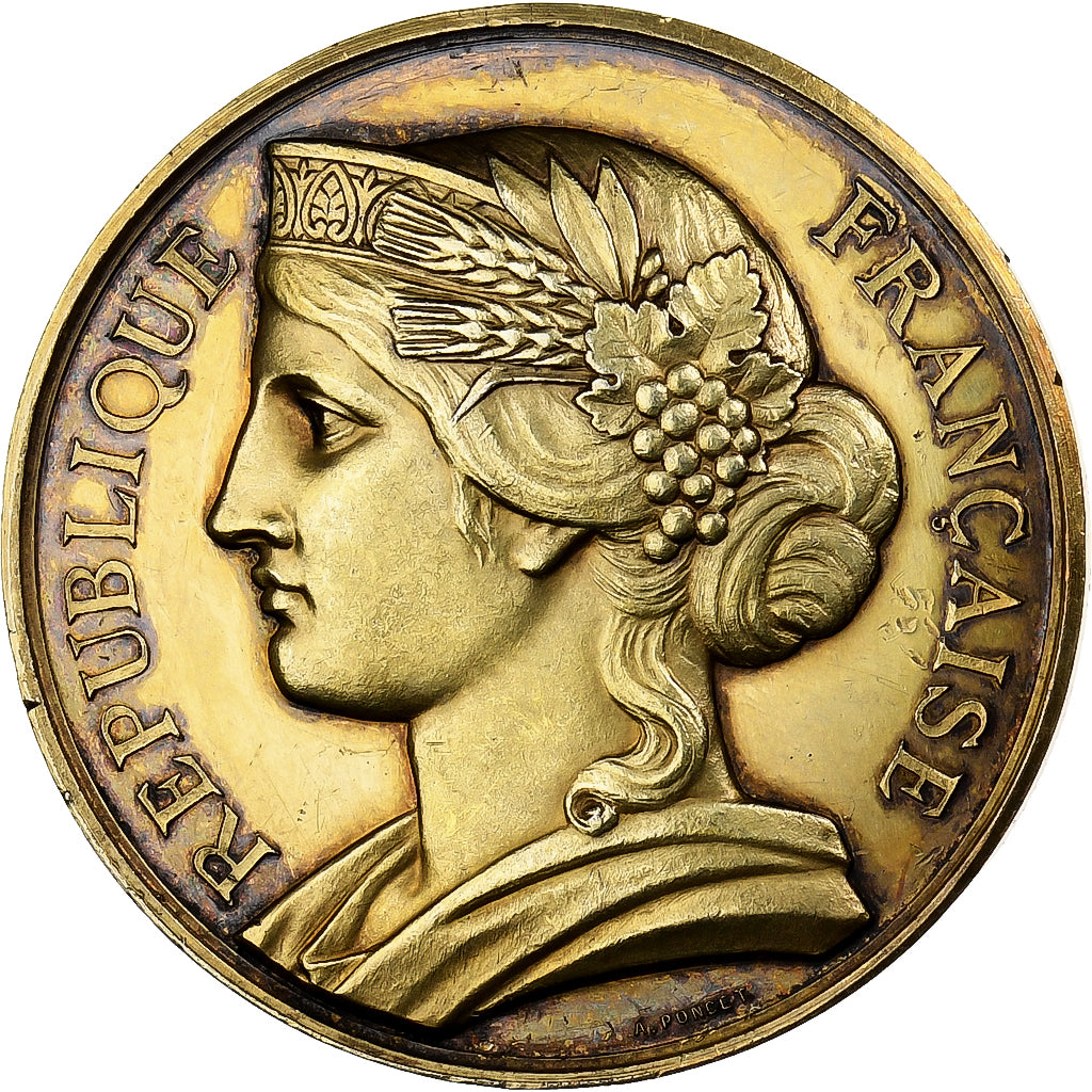 Francia, medaglia, Exposition industrielle de Clermont-Ferrand, 1880, Vermeil