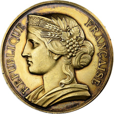 Francia, medaglia, Exposition industrielle de Clermont-Ferrand, 1880, Vermeil