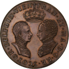 França, Medal, Mariage de Mary Stuart et François, Dauphin de france