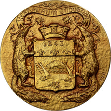 Guyana, Medal, Centenaire de l'Institution Communale en Guyane, 1979, Gilt