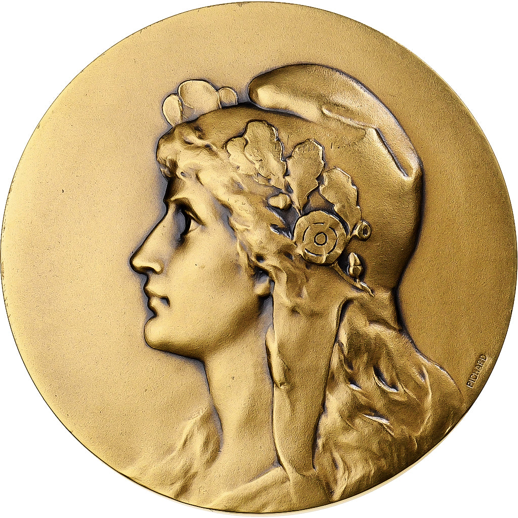 França, medalha, Ville de Valentigney, Bronze, Pichard, MS(65-70)