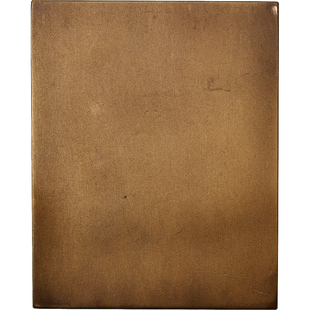 France, Médaille, Fédération Nationale Léo Lagrange, Bronze, SPL