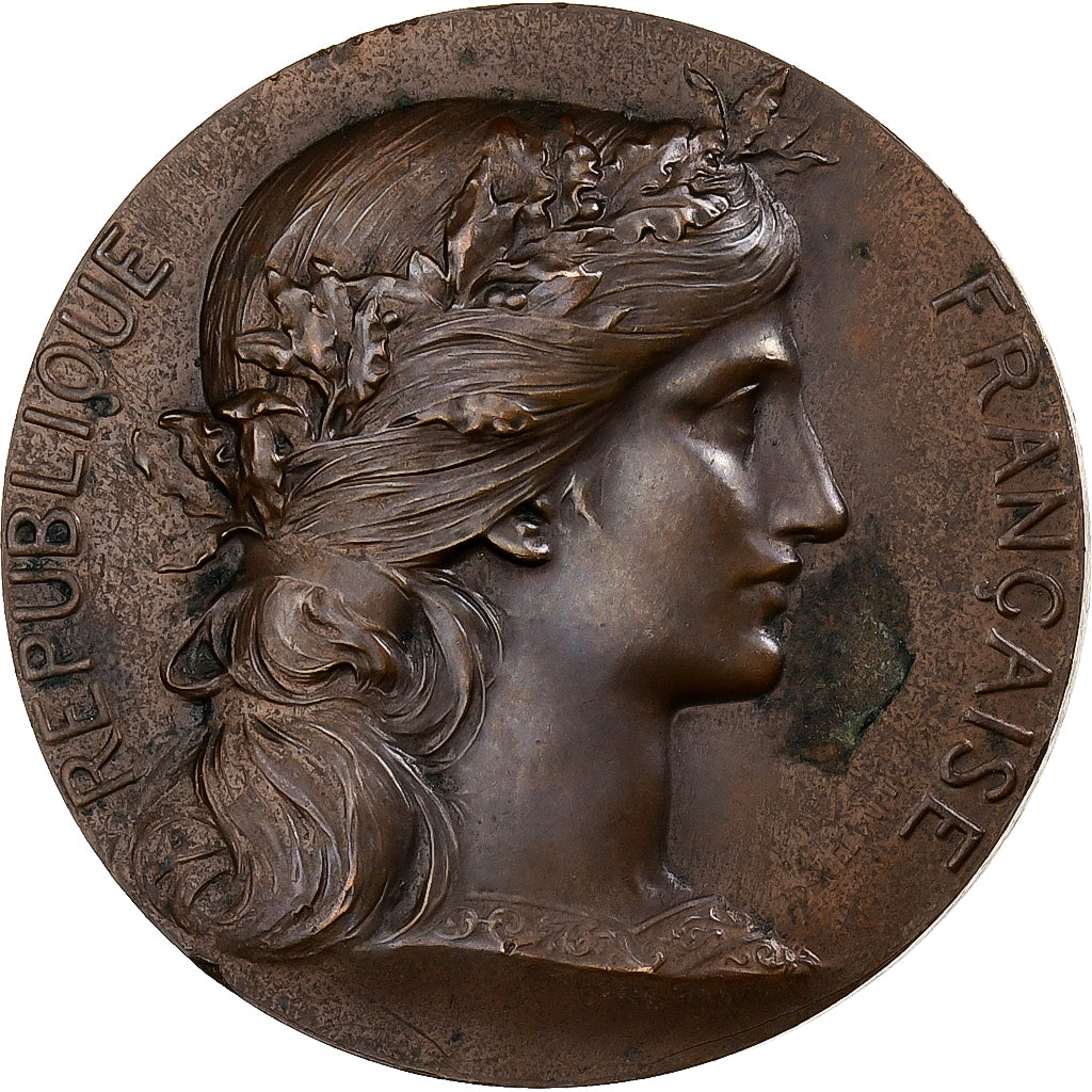 France, Médaille, Offert par Jean Beaufils, Député, 1986, Bronze, TTB+