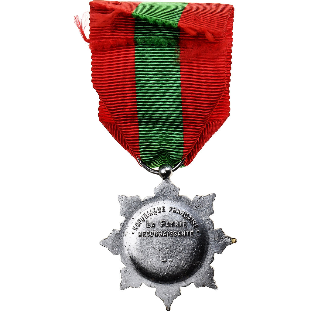 Francia, Médaille de la Famille Française, medaglia, Eccellente qualità
