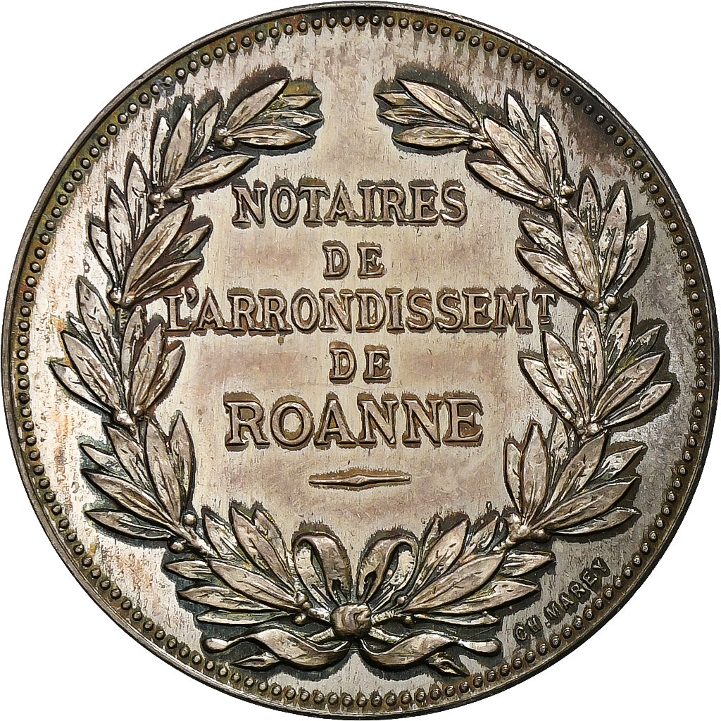 France, Jeton, Notaires de l'Arrondissement de Roanne, Argent, SUP, Barre