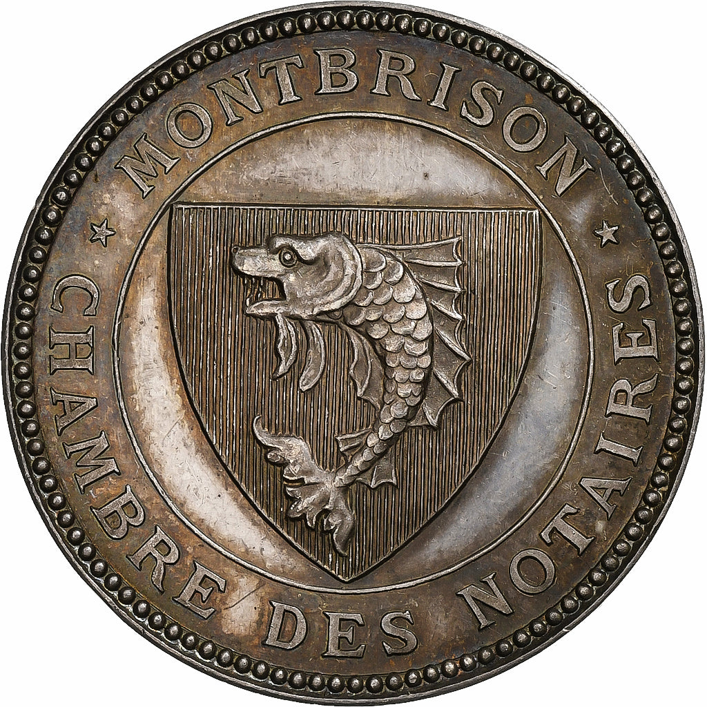 France, Token, Notaires de l'Arrondissement de Montbrison, 1876, Silver, MS(63)