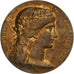 France, Jeton, Notaires de l'Arrondissement d'Amiens, Bronze, TTB+, Dupuis.D